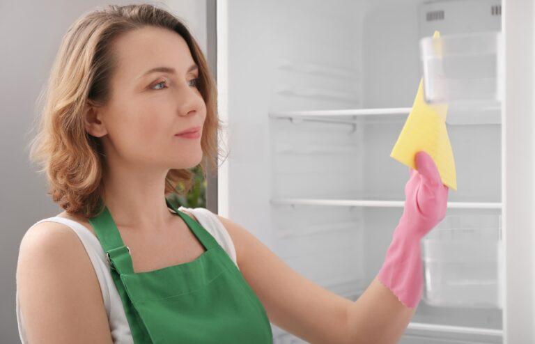 nettoyer joints frigo