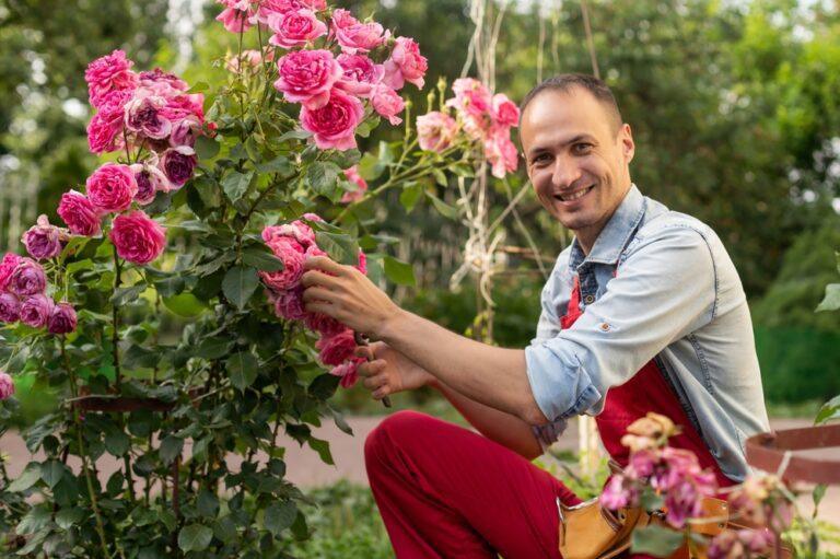 2 engrais pour rosier