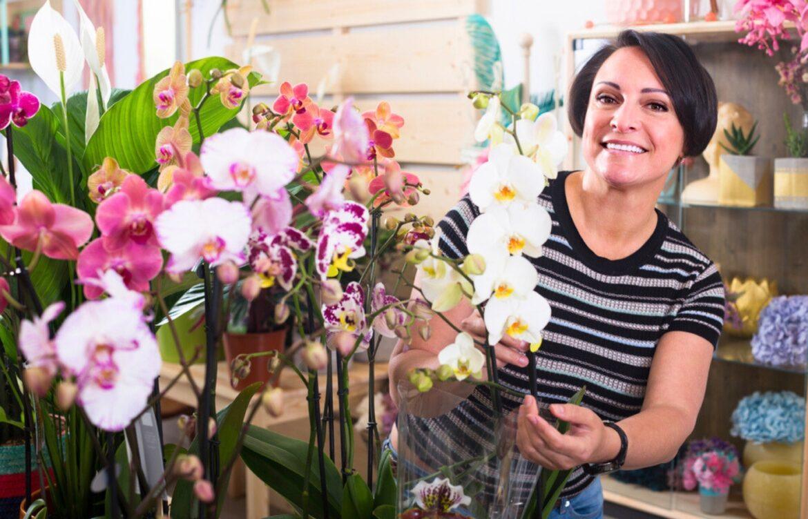 astuce fleuriste pour orchidée