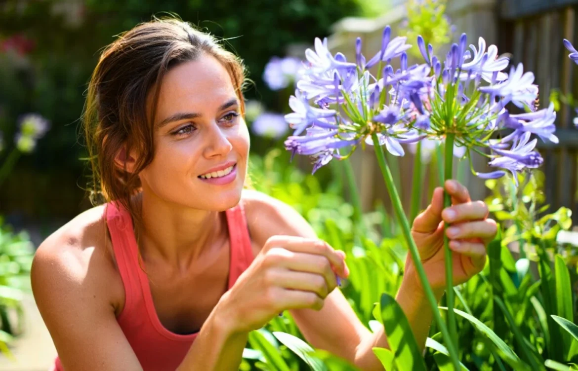 gestes à faire agapanthes
