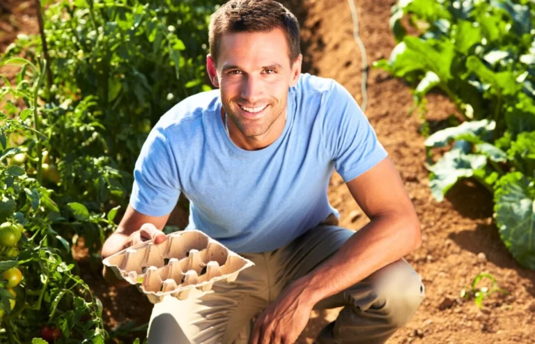 technique boite oeufs limaces