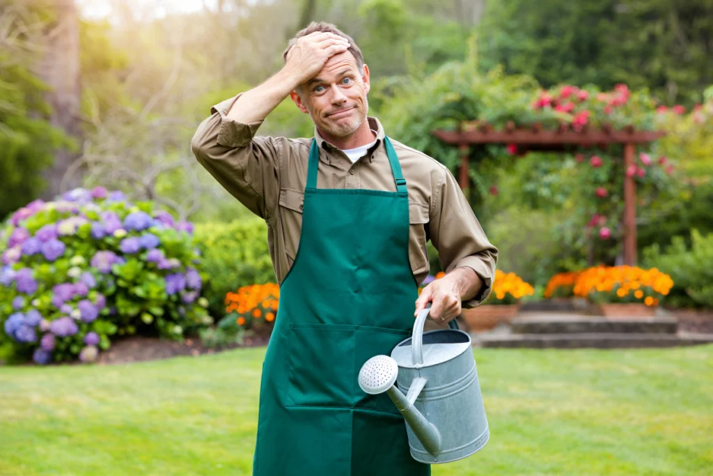 arroser le soir erreur