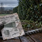 Interdiction de tailler les haies : notice et taille-haie près d’une haie dense