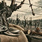 Quand et comment tailler les vignes : sécateur sur cep en hiver